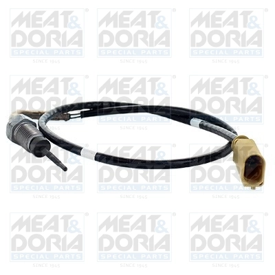 Sensor, exhaust gas temperature